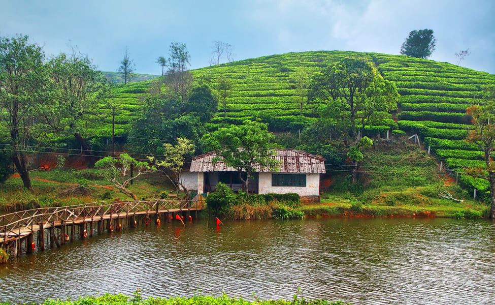 Exploring Natural Beauty  Ernakulam  Vagamon  Ernakulam (2 Nights / 3 Days)